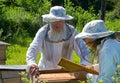 Beekeepers 3 Royalty Free Stock Photo