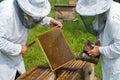 Beekeepers 6 Royalty Free Stock Photo