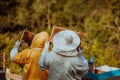 Beekeepers checking honey on the beehive frame in the field. Small business owners on apiary. Natural healthy food