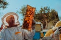 Beekeepers checking honey on the beehive frame in the field. Small business owners on apiary. Natural healthy food