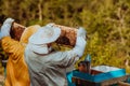 Beekeepers checking honey on the beehive frame in the field. Small business owners on apiary. Natural healthy food