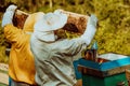 Beekeepers checking honey on the beehive frame in the field. Small business owners on apiary. Natural healthy food