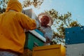 Beekeepers checking honey on the beehive frame in the field. Small business owners on apiary. Natural healthy food