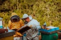 Beekeepers checking honey on the beehive frame in the field. Small business owners on apiary. Natural healthy food