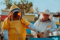 Beekeepers checking honey on the beehive frame in the field. Small business owners on apiary. Natural healthy food