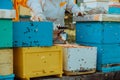 Beekeepers checking honey on the beehive frame in the field. Small business owners on apiary. Natural healthy food