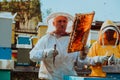 Beekeepers checking honey on the beehive frame in the field. Small business owners on apiary. Natural healthy food