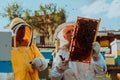 Beekeepers checking honey on the beehive frame in the field. Small business owners on apiary. Natural healthy food