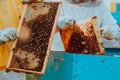 Beekeepers checking honey on the beehive frame in the field. Small business owners on apiary. Natural healthy food