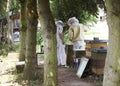 Beekeepers in the Forest Royalty Free Stock Photo