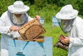 Beekeepers at hive 2 Royalty Free Stock Photo