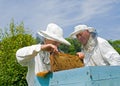 Beekeepers at hive 6 Royalty Free Stock Photo