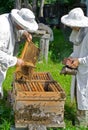 Beekeepers at hive 6 Royalty Free Stock Photo