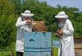 Beekeepers at hive 14 Royalty Free Stock Photo