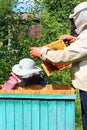 Beekeepers inspecting a hive of bees