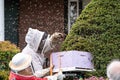 Beekeepers and Swarming Honeybees