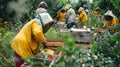 Beekeepers tending to hives in a sunlit meadow. Apiculturists at work in a blooming field. Concept of beekeeping