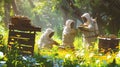 Beekeepers tending to hives in a sunlit meadow. Apiculturists at work in a blooming field. Family involved in beekeeping