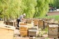 The beekeepers in the work