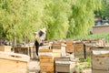 The beekeepers in the work