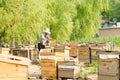 The beekeepers in the work