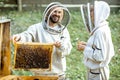 Beekeepers working on the apiary Royalty Free Stock Photo