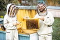 Beekeepers working on the apiary Royalty Free Stock Photo