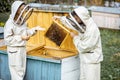 Beekeepers working on the apiary Royalty Free Stock Photo