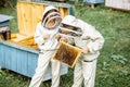 Beekeepers working on the apiary Royalty Free Stock Photo