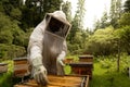 Beekeepers working with bees in forest Royalty Free Stock Photo