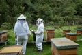 Beekeepers working with bees in forest Royalty Free Stock Photo