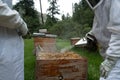 Beekeepers working with bees in forest Royalty Free Stock Photo