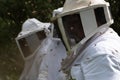 Beekeepers working with bees in forest Royalty Free Stock Photo