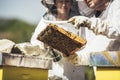 Beekeepers working collect honey. Beekeepers are working with bees and beehives on the apiary Royalty Free Stock Photo