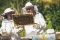 Beekeepers working collect honey. Beekeepers are working with bees and beehives on the apiary Royalty Free Stock Photo