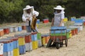 Beekeepers working with their colourful hives Royalty Free Stock Photo