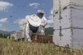 Beekeepers working to collect honey