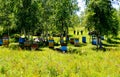 Beekeeping on Altai