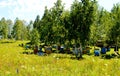Beekeeping on Altai