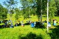 Beekeeping on Altai