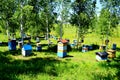 Beekeeping on Altai