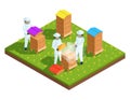 Beekeeping apiary isometric composition Royalty Free Stock Photo