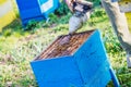 Beekeeper checking hive Royalty Free Stock Photo