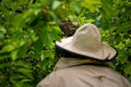 Beekeeping. Beekeeper collecting escaped bees swarm from a tree. Apiary background.