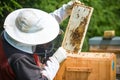 Beekeeping