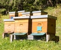 Beekeeping