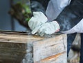 Beekeeping, box frame and beekeeper hands working on honey production farm for honeycomb, organic wax extraction and