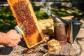Beekeeping concept, beekeeping tools. frame with bees wax structure full of fresh bee honey in honeycombs Royalty Free Stock Photo
