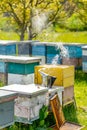 Beekeeping equipment for honeycomb. Farming smoker for beehive. Royalty Free Stock Photo