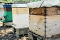 Beekeeping, havesting honey, Beekeeping concept, apiary in France